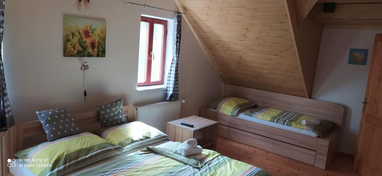 Apartmany Natalie Dvory nad Luznici Exterior photo